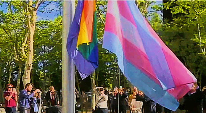 Transgender flag